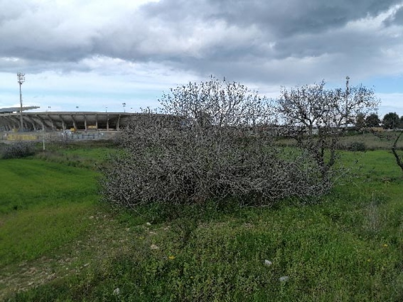 Masseria San Cataldo Lecce