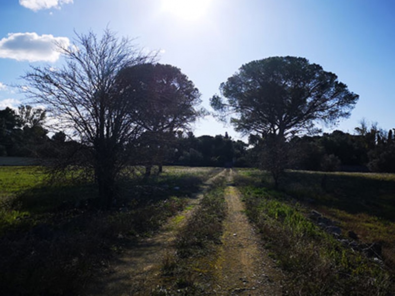 via per Monteroni, Lecce, 3 Stanze da Letto Stanze da Letto, ,2 BathroomsBathrooms,Immobili Esclusivi,In Vendita,via per Monteroni,1002