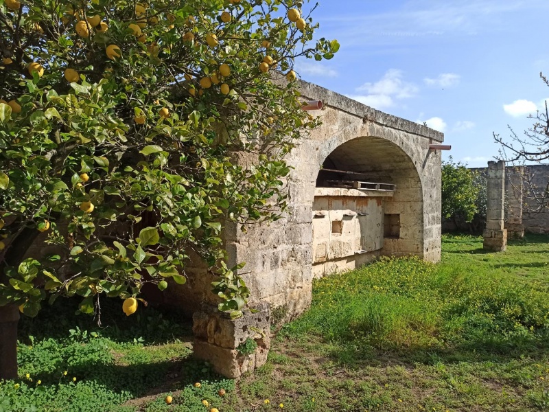 Vendesi casa rurale a Veglie con sei ettari di terreno agricolo