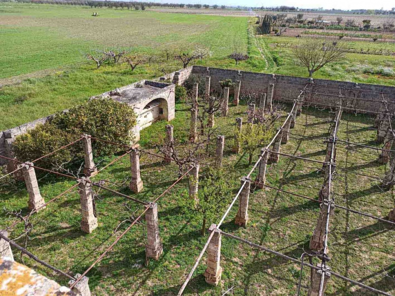 Vendesi casa rurale a Veglie con sei ettari di terreno agricolo