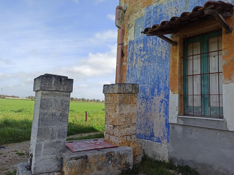 Vendesi casa rurale a Veglie con sei ettari di terreno agricolo