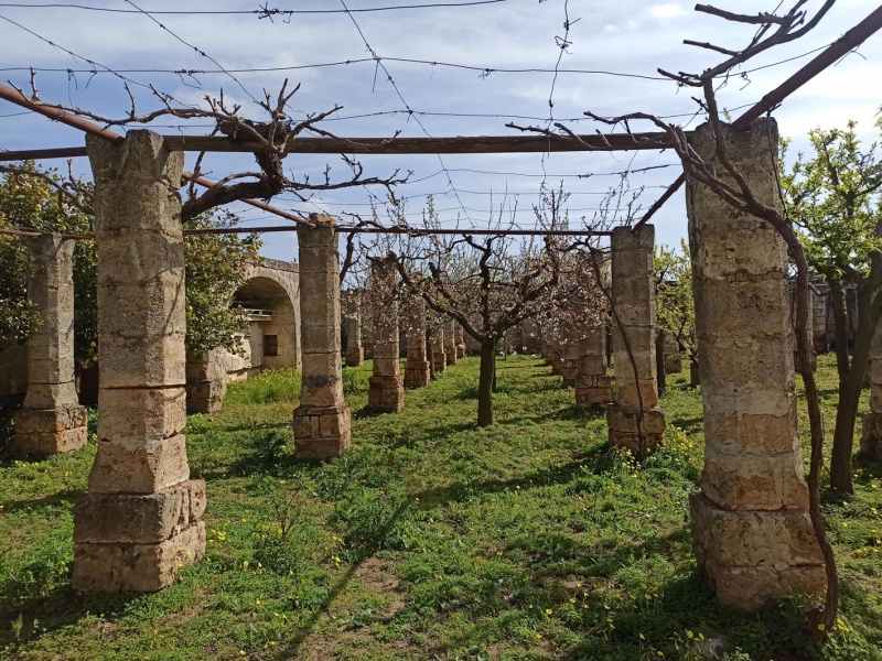 Vendesi casa rurale a Veglie con sei ettari di terreno agricolo