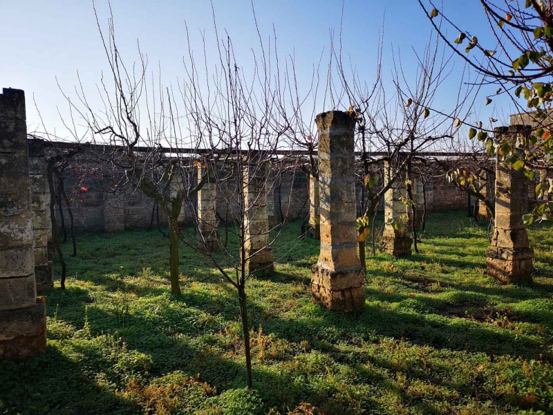 Vendesi casa rurale a Veglie con sei ettari di terreno agricolo