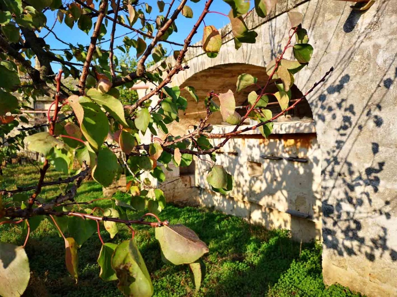 Vendesi casa rurale a Veglie con sei ettari di terreno agricolo