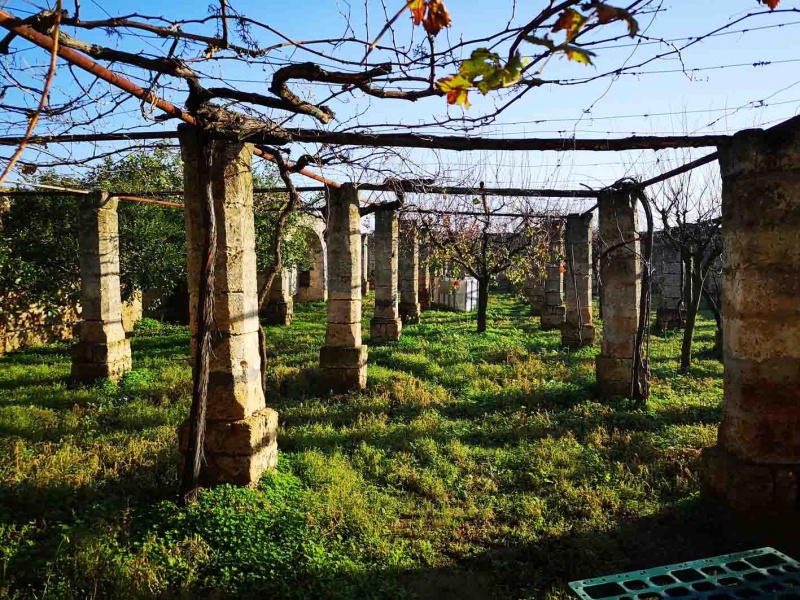 Vendesi casa rurale a Veglie con sei ettari di terreno agricolo