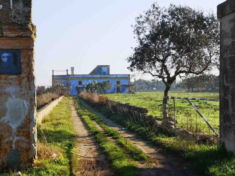 Vendesi casa rurale a Veglie con sei ettari di terreno agricolo