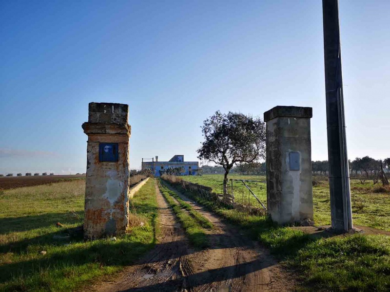 Vendesi casa rurale a Veglie con sei ettari di terreno agricolo