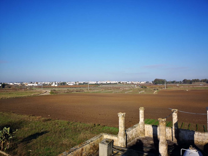 Vendesi casa rurale a Veglie con sei ettari di terreno agricolo