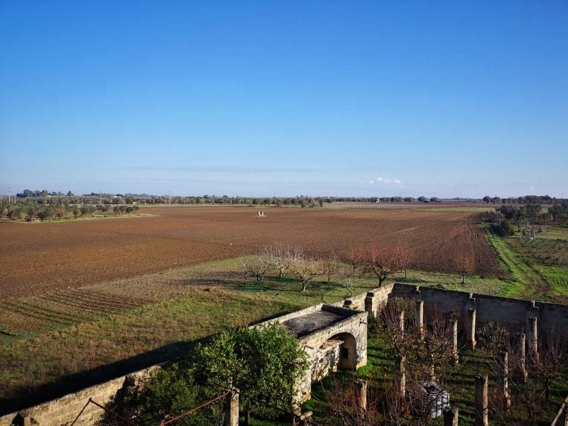 Vendesi casa rurale a Veglie con sei ettari di terreno agricolo