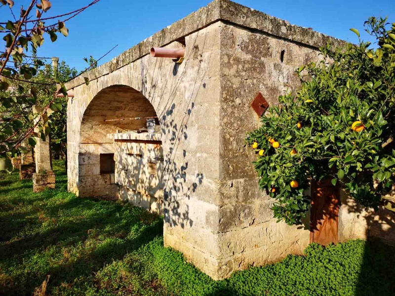 Vendesi casa rurale a Veglie con sei ettari di terreno agricolo